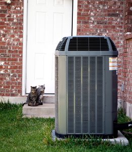 outside unit of an air conditioner next to brick house with cats in background