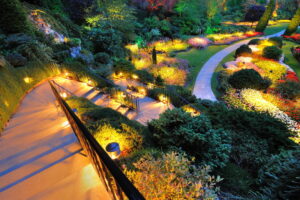 beautiful-outdoor-lighting-around-backyard-garden